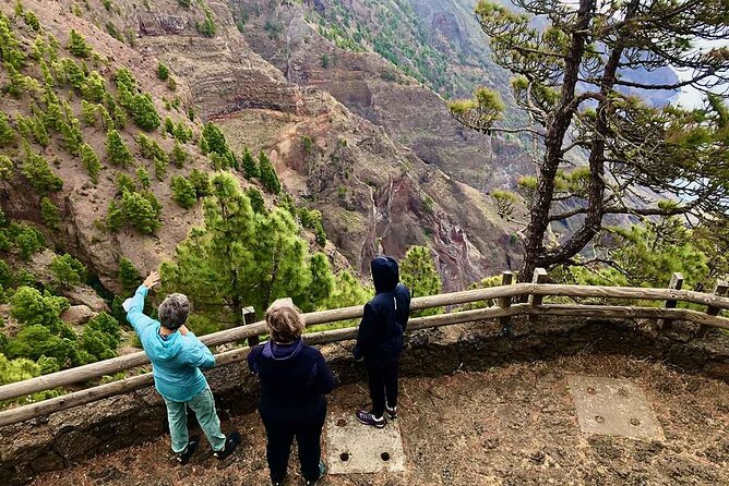 Come Discover the Island of El Hierro in a Small Group - Private Group Experience