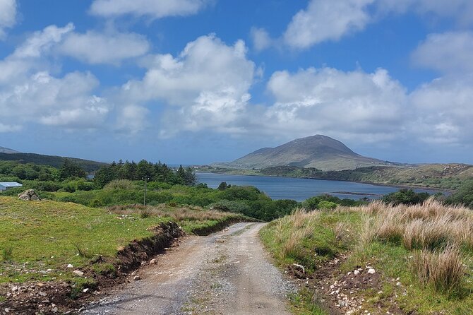 Connemara Sheep Farm Experience & Kylemore Abbey by Lux Limousine - Lux Limousine Transportation
