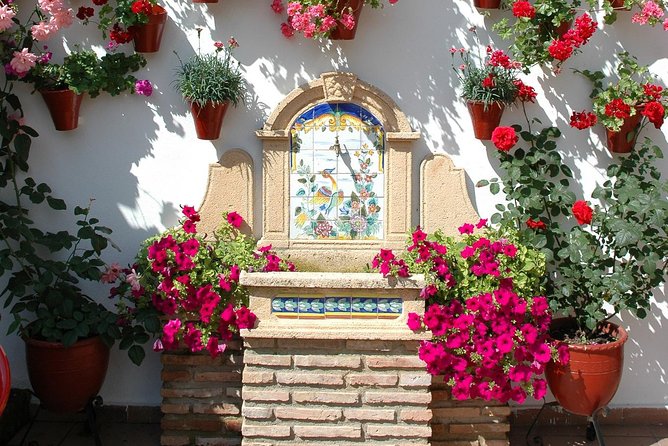 Cordobas Authentic Patios: 2-Hour Tour With Tickets - Accessibility and Cancellation