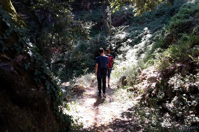 Corfu Countryside Hiking Tour - Cultural Immersion