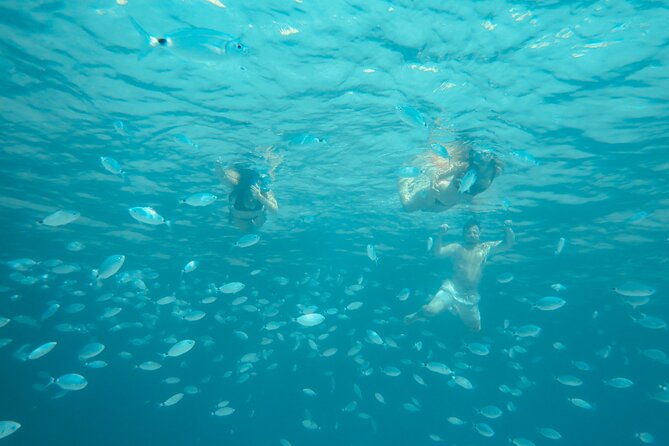 Costa Smeralda Snorkeling Private Boat Tour - Product Code and Details