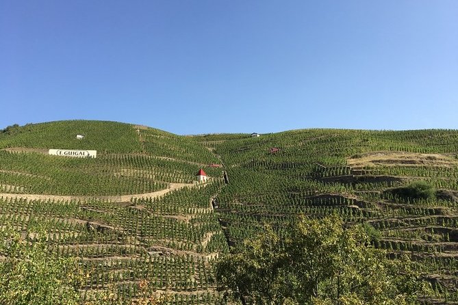 Cotes Du Rhone Wine Tour - Private Tour - Full Day From Lyon - Tasting at Three Wineries