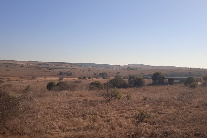 Cradle of Humankind Half Day Tour - Booking Information