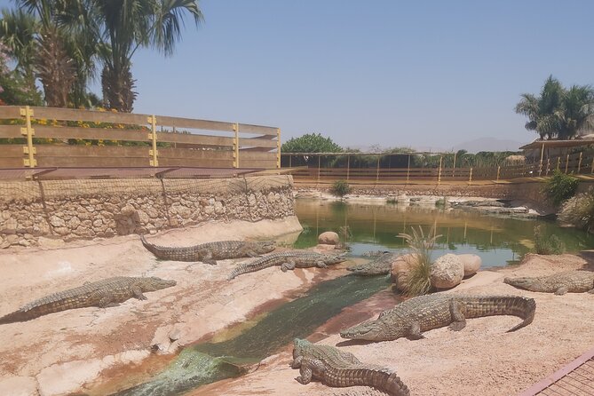 Crocodil Park Transport and Crocoparc Ticket - Food and Beverage Options