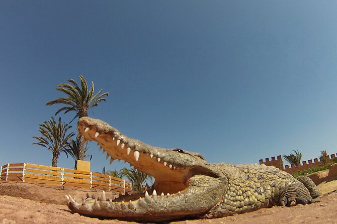 Crocoparc Tour From Agadir & Taghazout + Tickets - Wildlife and Botanical Highlights