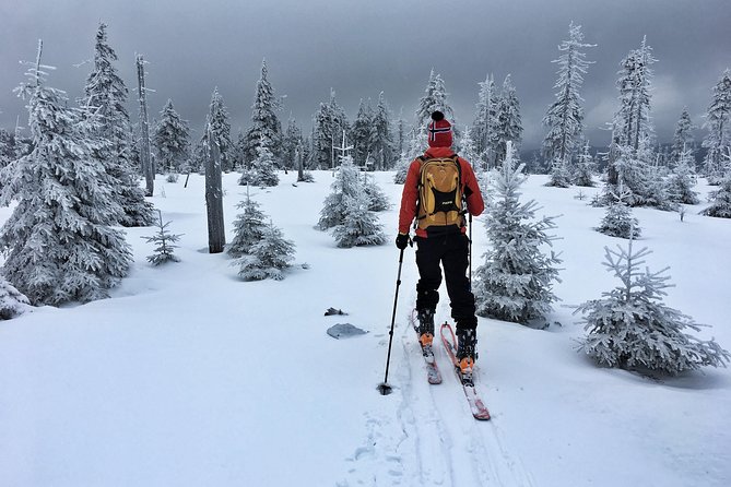 Cross-Country Skiing Guided Tour From Prague - Ski Equipment and Instruction