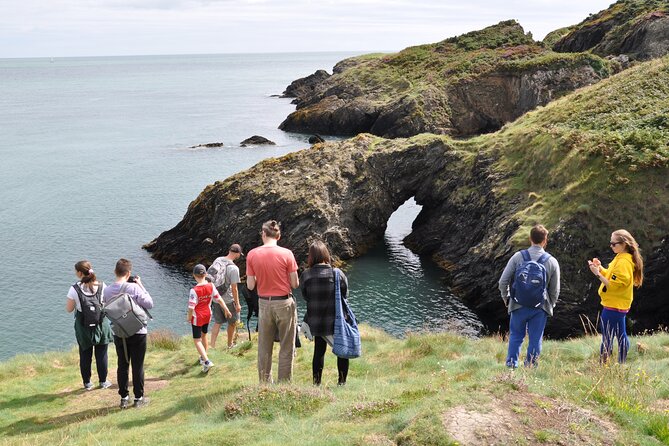 Day Tour From Dublin to Wicklow: Cliffs, Heritage, Wildlife, Gaol - Tour Duration and Logistics