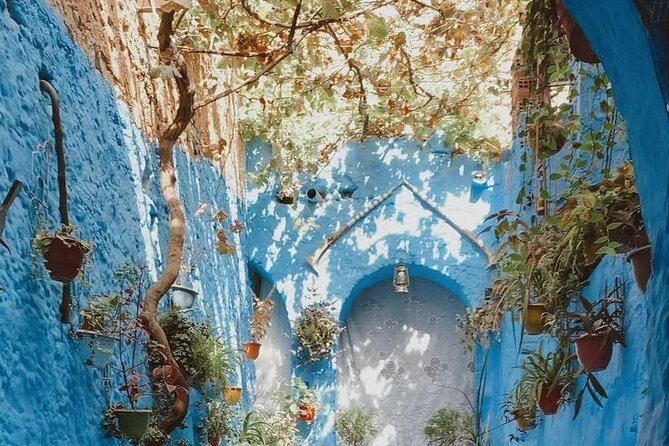 Day Tour in Blue City of Chefchaouen - Booking and Pricing Details