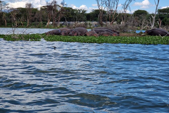 Day Tour To Hells Gate National Park and Optional Boat Ride on Lake Naivasha. - Practical Information