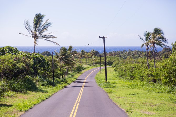 Day Trip From Oahu to Hilo: Active Volcanoes - Customer Experiences