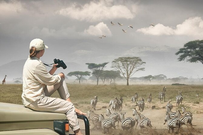 Day Trip Safari to Mikumi National Park - Highlights of the Day