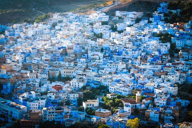 Day Trip to Chefchaouen From Fez With Local Expert - Traveler Reviews and Experiences