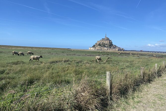 Day Trip to Mont-Saint-Michel From Rennes - Refreshments and Waiting Time