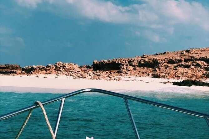Daymaniyat Islands Snorkeling Half-Day Tour - Marine Life Encounters