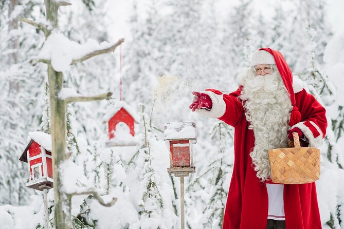 Daytour to Santa Claus Village, Reindeer and Husky Safaris, Photo, and Lunch - Cancellation and Inquiries