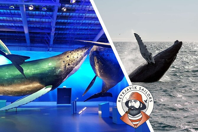 Deluxe Whale Watching and Whales of Iceland Exhibition Combo From Reykjavik - Cancellation and Refund Policies