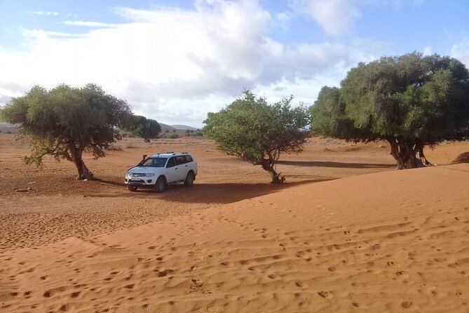 Desert and Ocean Private Day Tour - Indulging in Local Cuisine