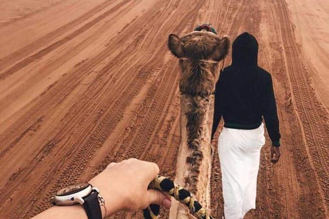 Desert Safari Dubai Pickup & Drop off by Land Cruiser - Highlights of the Experience