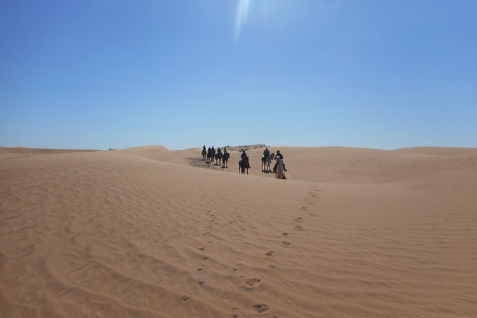 Desert Trail in Morocco on Horseback - Traveler Reviews and Experiences