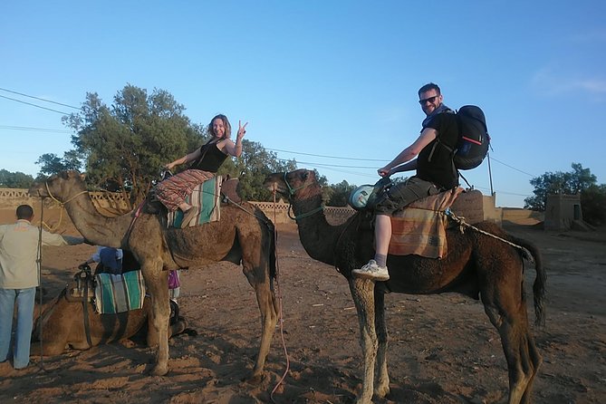 Desert Trip From Fes to Fes via Merzougua (2days,1night) - Accommodation and Dining