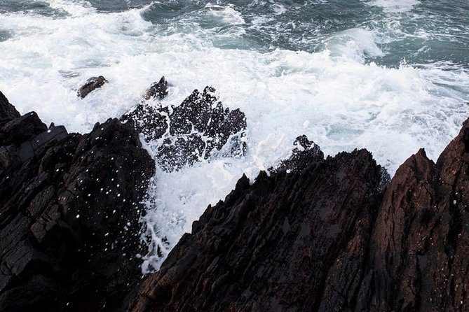 Dingle Peninsula Day Tour From Killarney: Including the Wild Altanic Way - Starting Point and Times