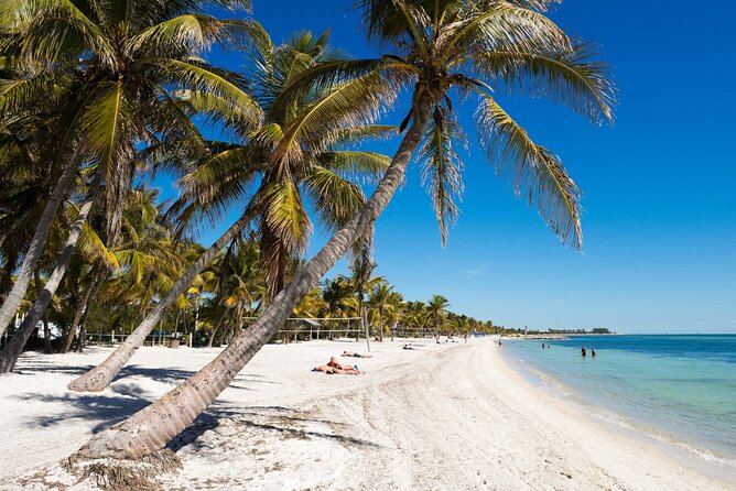 Direct Shuttle From Orlando to Key West (Up to 15 People Group) - Booking and Availability