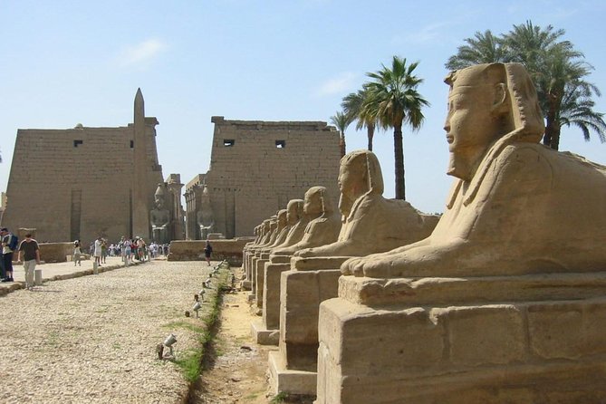 Discover Egypt - 7 Days (Cairo/Luxor/Aswan) - Customer Testimonials