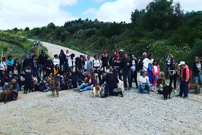 Discover Sintras Hidden Trails: A Unique Hiking Experience - Customer Feedback and Ratings