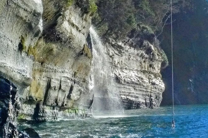 Discover Sooke to Port Renfrew Scenic Tour of Vancouver Islands - Tour Logistics