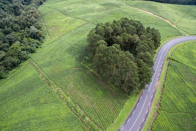 Discover the Beauty of Rwanda in 12Days - Frequently Asked Questions