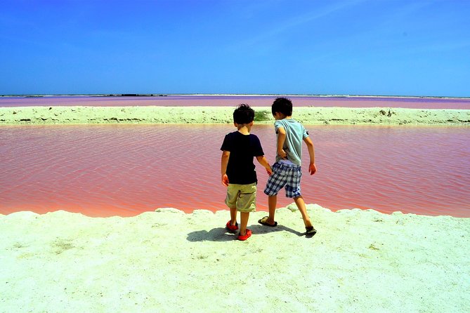 Discover the FABULOUS PINK WATERS in the Caribean (Las Coloradas+Río Lagartos) - Pricing and Availability