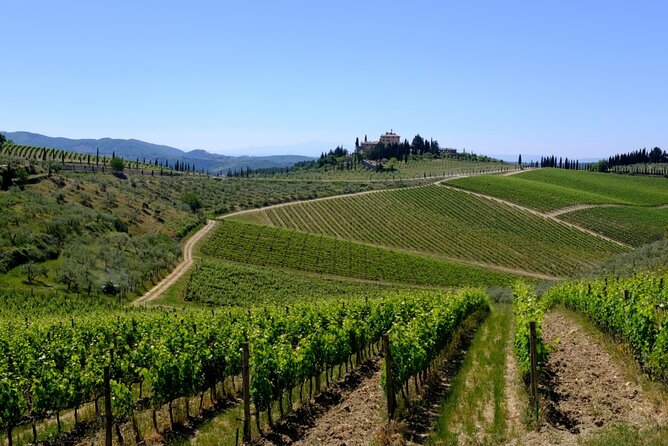 Discovering Chianti: Sunset Ebike Tour Review - Pricing and Availability