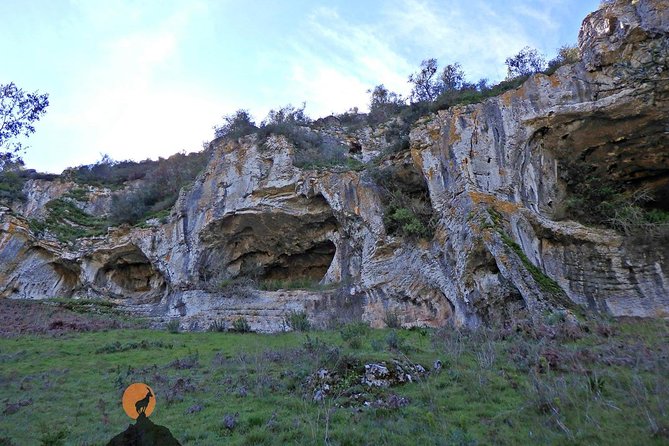 Discovering the Roman Ruins of Conímbriga and the Caves of Sicó - Positive Visitor Experiences