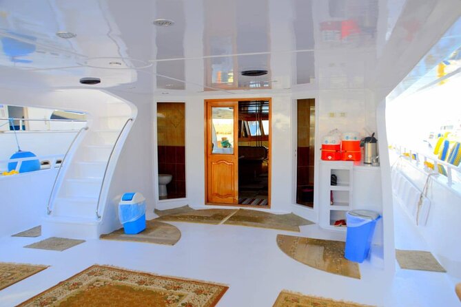 Diving And Snorkeling To Ras Mohamed And White Island By VIP Boat - Considerations for Accessibility and Beginners