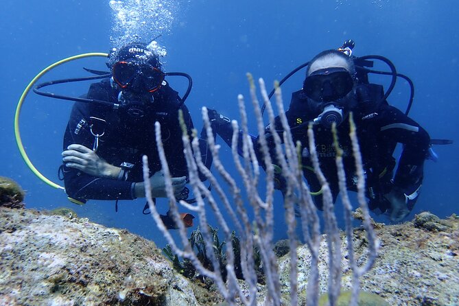 Diving Baptism in the Montgrí Natural Park - Preparing for the Diving Baptism