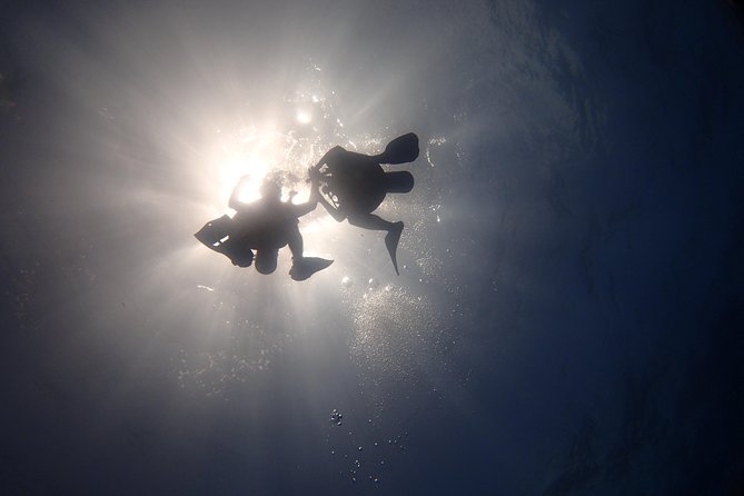 Diving in the Mexican Caribbean for Beginners | 2 Tanks 2 Dives | All Inclusive - Returning for More Diving Adventures
