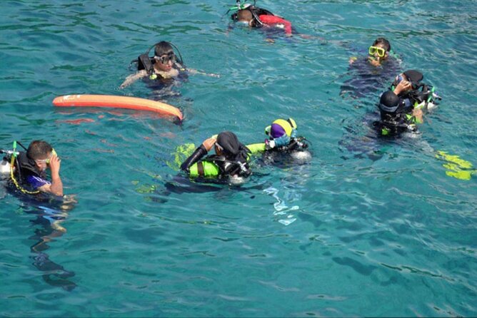 Dolphins House Sea Hero of Egypt Snorkeling &Water Activities - Savoring the Lunch Onboard