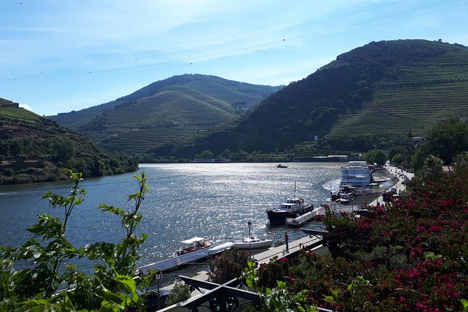 Douro Valley Tour (wine & Food) - Traveler Photos and Reviews