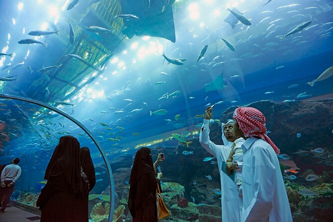 Dubai Aquarium & Underwater Zoo With Penguin Cove - Booking Details and Cancellation Policy