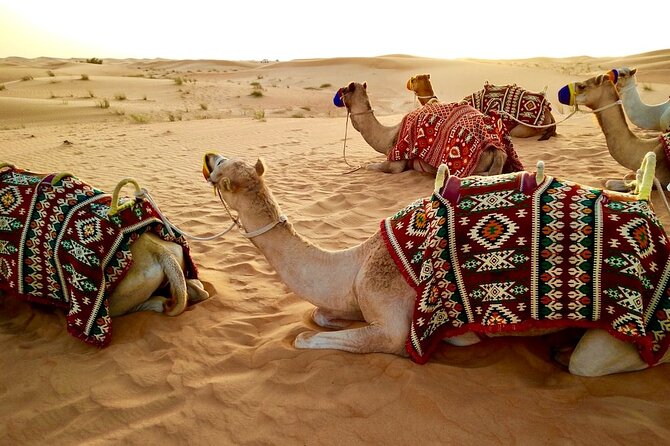Dubai Desert Safari With BBQ Dinner , Sand Boarding, Dune Bashing - Convenient Pick-up and Drop-off