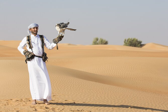 Dubai Red Dunes Evening Desert Safari With ATV Quad Biking - Customer Reviews and Feedback