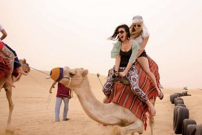 Dubai Royal Camel Race With Prime Seats & Short Camel Ride - Accessibility Features