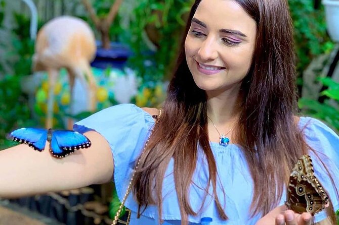 Dubai: Skip-The-Line Ticket to Butterfly Garden - Accessibility and Transportation