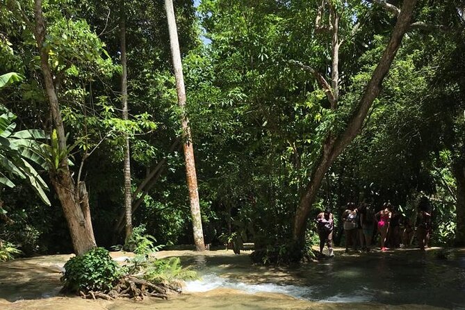 Dunns River and Blue Hole Tour From Ocho Rios - Operated by Island Jam Tours Jamaica