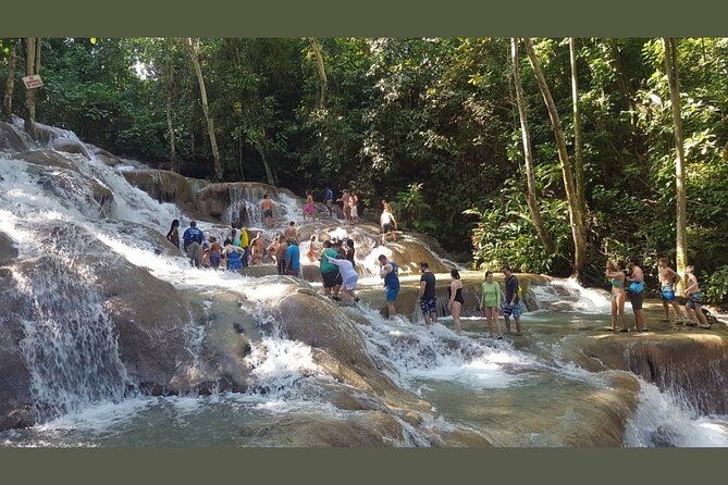 Dunns River Falls Private Day Tour - Ideal for Families and Groups