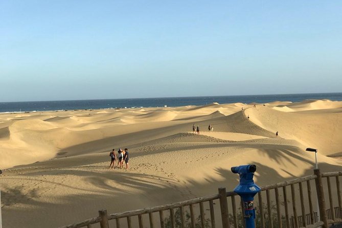 E-Bike City Tour Optional Camel Safari on the Maspalomas Dunes - Customer Reviews and Feedback
