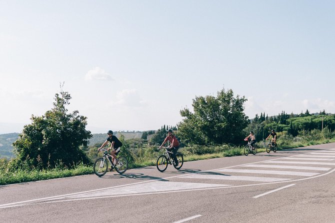 E-Bike Tour and Wine Tasting From San Gimignano - Pricing and Inclusions
