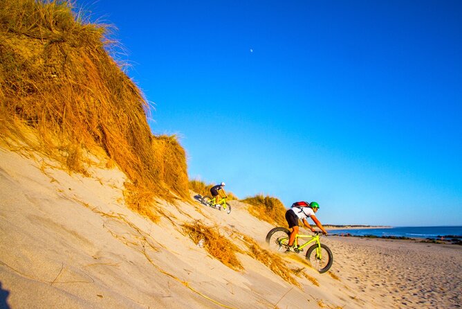 E-Bike Wild Experience With Transport From Porto and Braga - Electric Bike Features