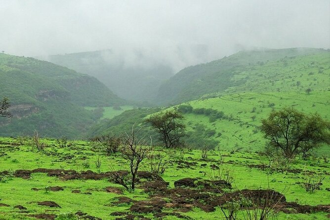 East of Salalah, Mountain Safari, Camels, Waterfall, White Beach - Highlights of the Tour