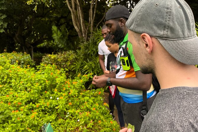Easy Hike With Relaxing Garden Tour and Delicious Lunch - Tour Inclusions and Pickup